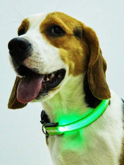 Collar Luminoso LED Recargable