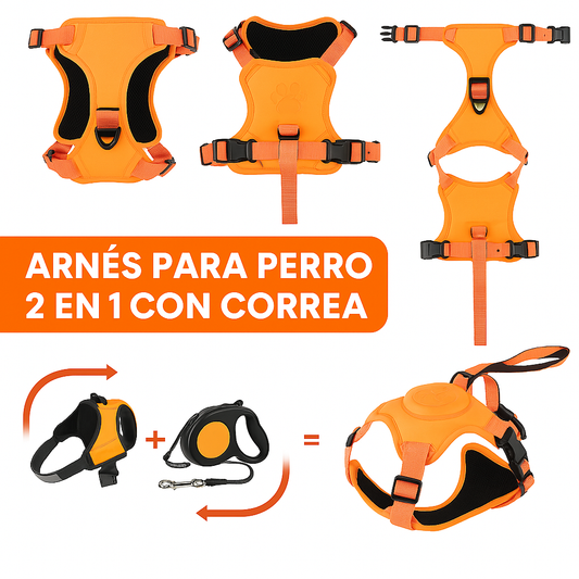 Arnés Perro Con Correa Retráctil Colores