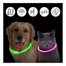 Collar Luminoso LED Recargable