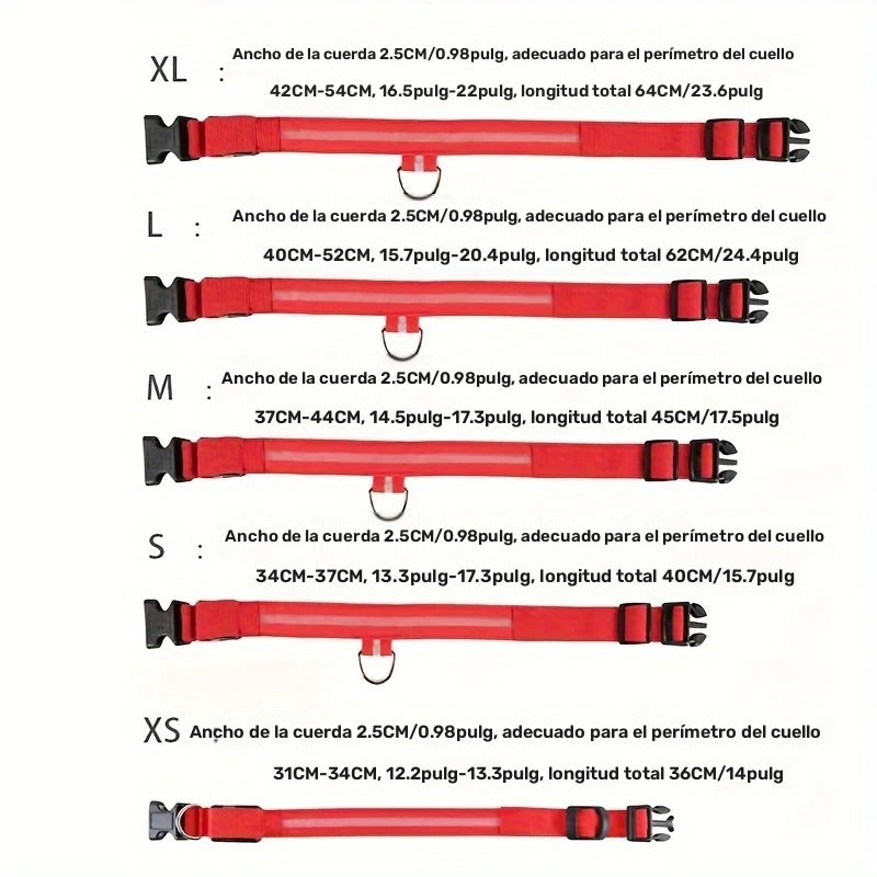 Collar Luminoso LED Recargable