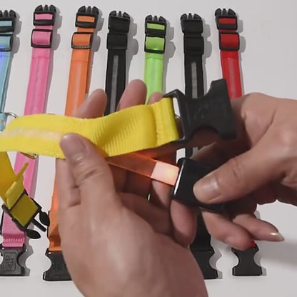 Collar Luminoso LED Recargable